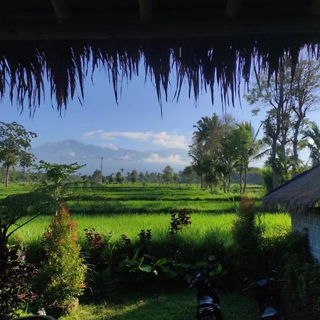 New Rinjani Homestay Tetebatu Exteriér fotografie