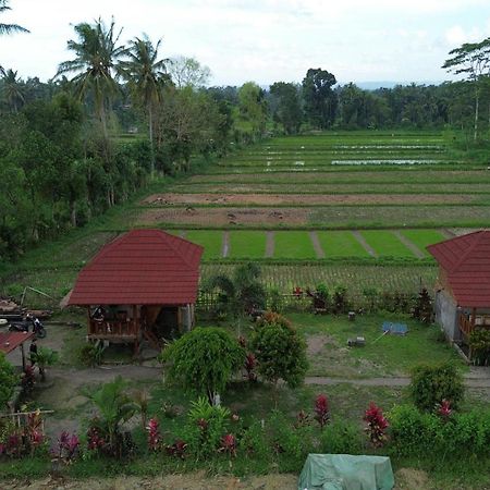 New Rinjani Homestay Tetebatu Exteriér fotografie