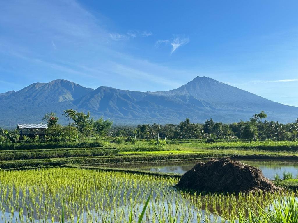 New Rinjani Homestay Tetebatu Exteriér fotografie