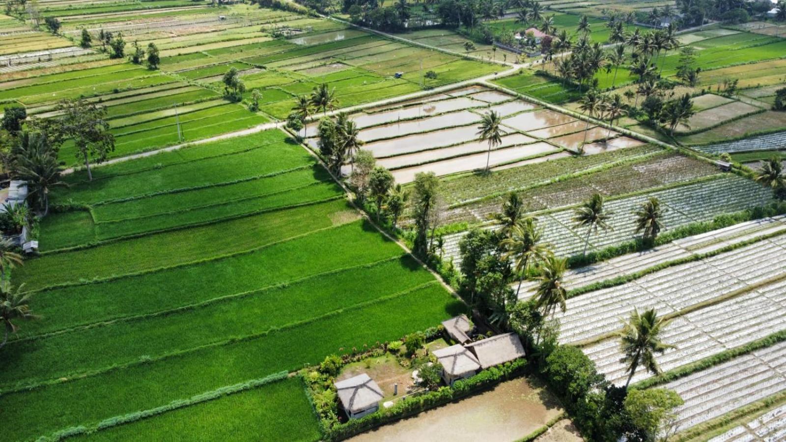 New Rinjani Homestay Tetebatu Pokoj fotografie