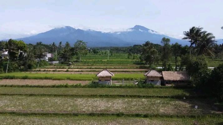 New Rinjani Homestay Tetebatu Exteriér fotografie