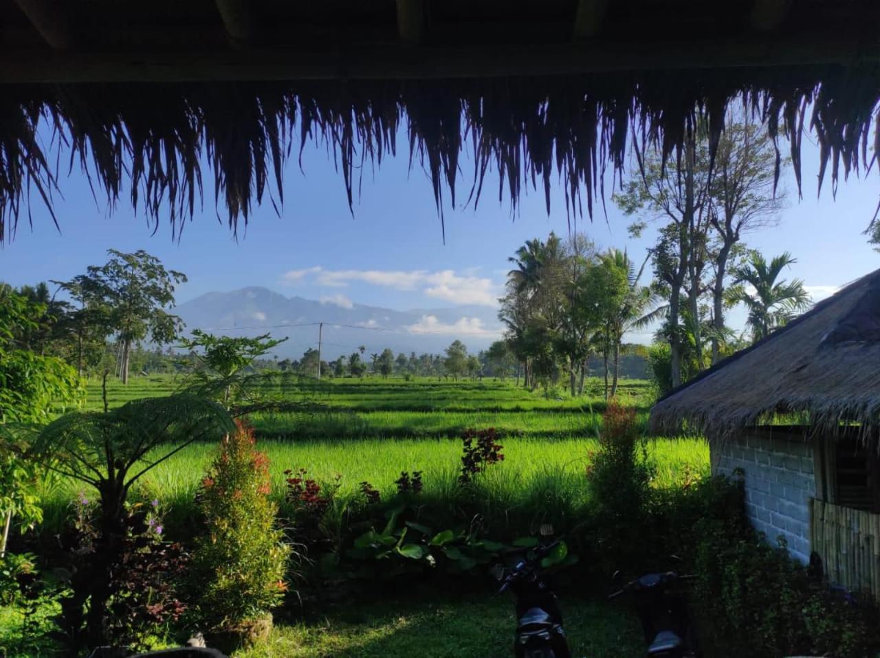 New Rinjani Homestay Tetebatu Exteriér fotografie