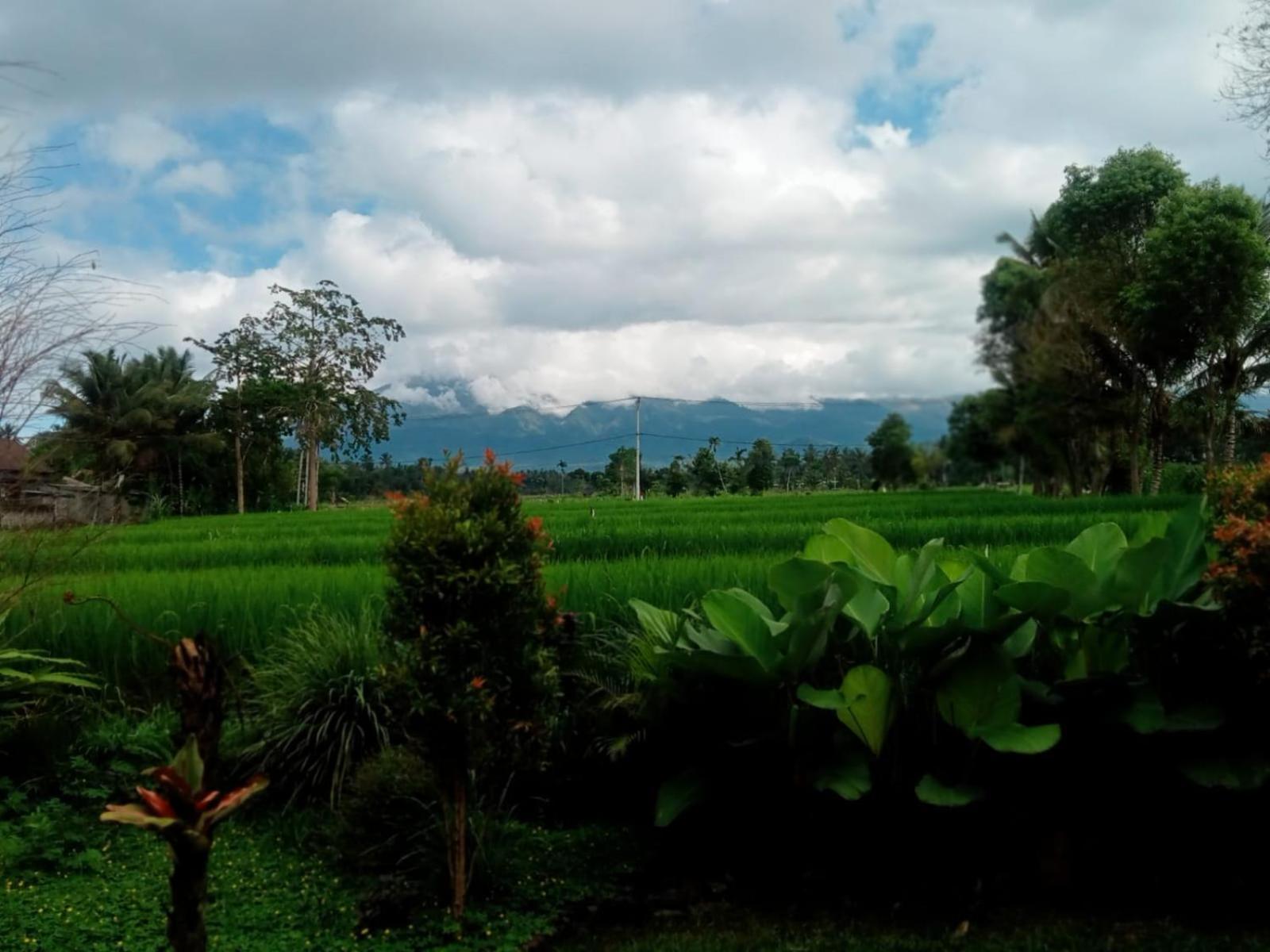 New Rinjani Homestay Tetebatu Pokoj fotografie