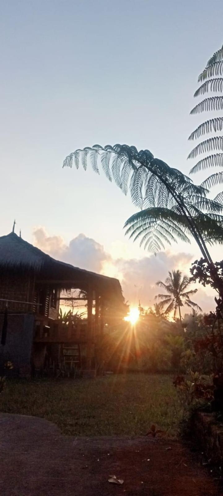 New Rinjani Homestay Tetebatu Pokoj fotografie