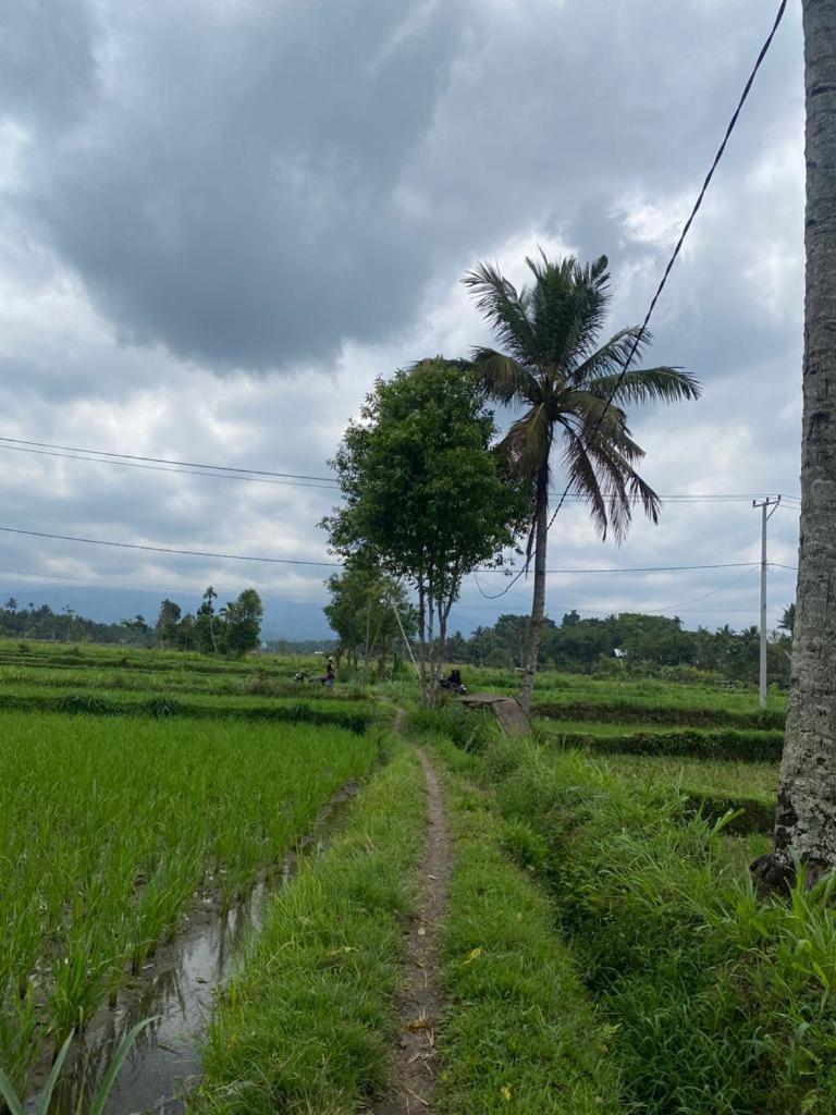 New Rinjani Homestay Tetebatu Pokoj fotografie