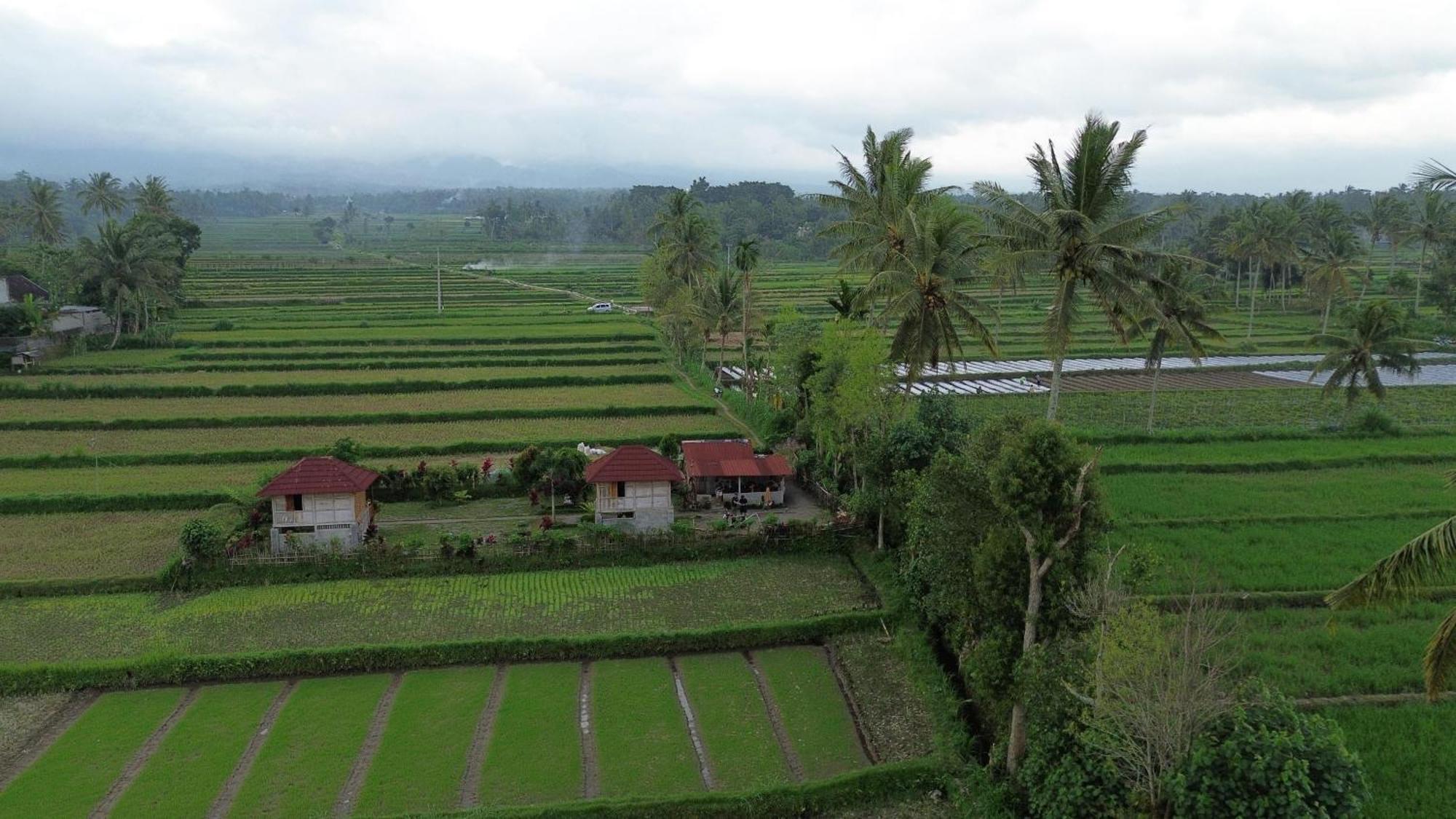 New Rinjani Homestay Tetebatu Exteriér fotografie