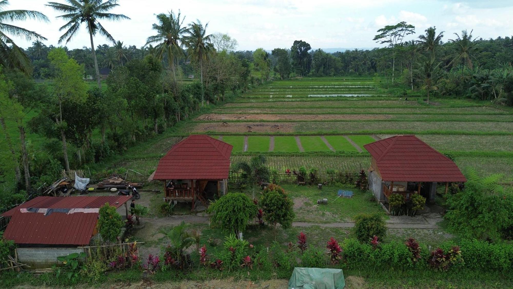 New Rinjani Homestay Tetebatu Exteriér fotografie