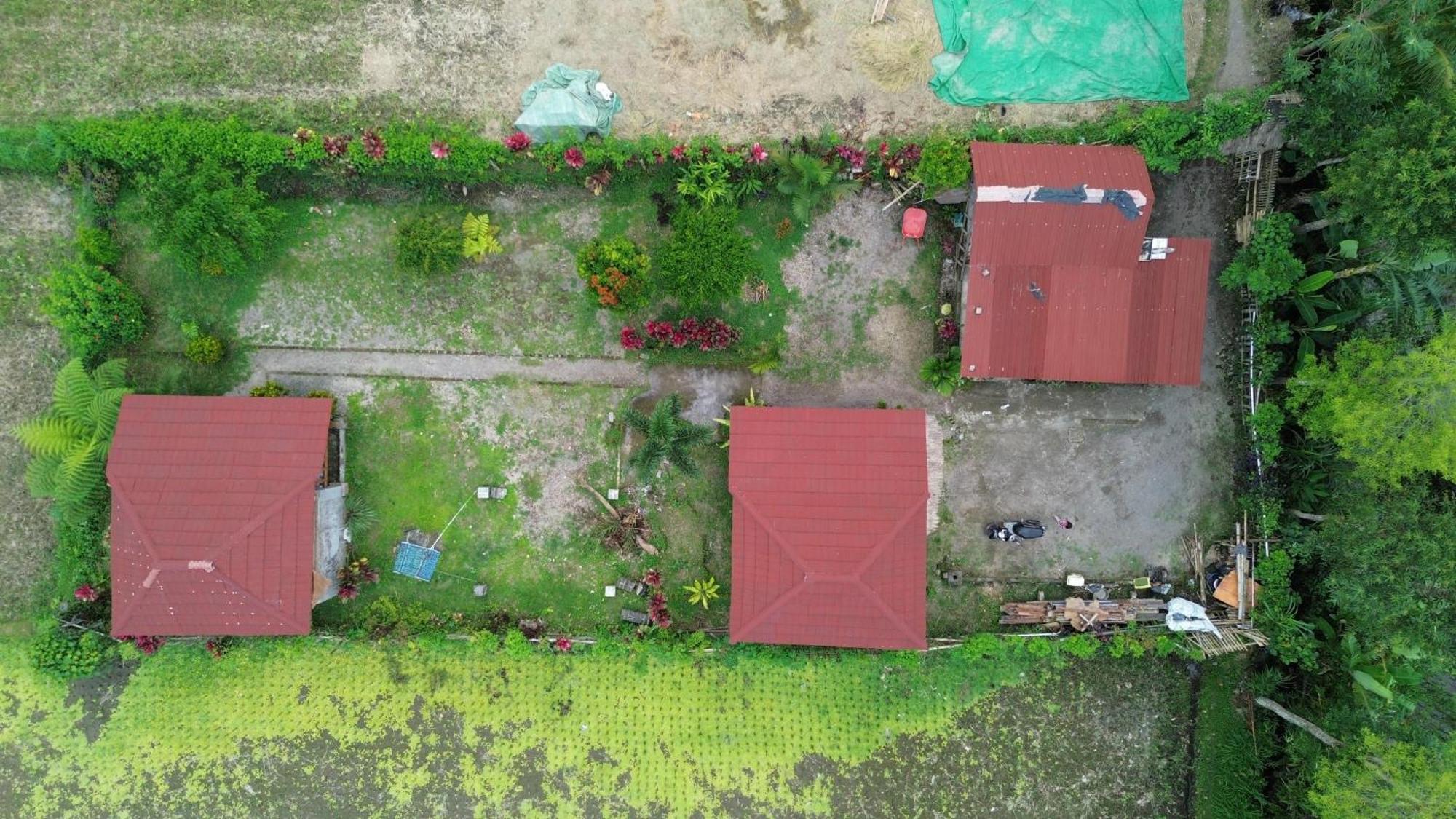 New Rinjani Homestay Tetebatu Exteriér fotografie